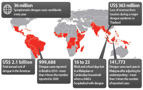 Cayman Healthcare Consulting - 2014 Dengue Map Stats from DengueMatters